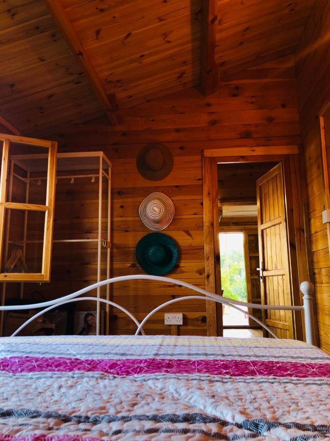Happy Glamping Cy Villa Agios Theodoros Luaran gambar