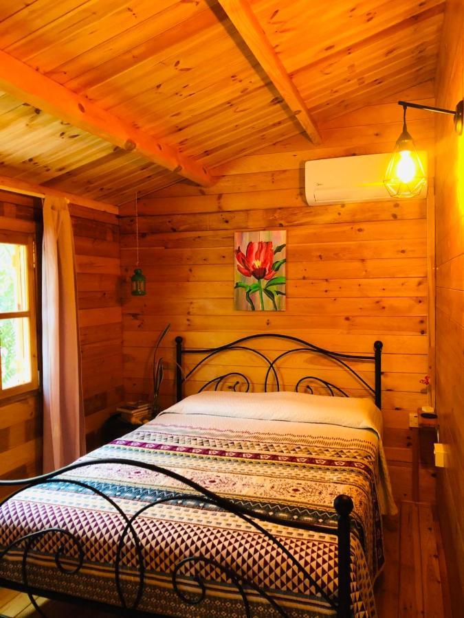Happy Glamping Cy Villa Agios Theodoros Luaran gambar
