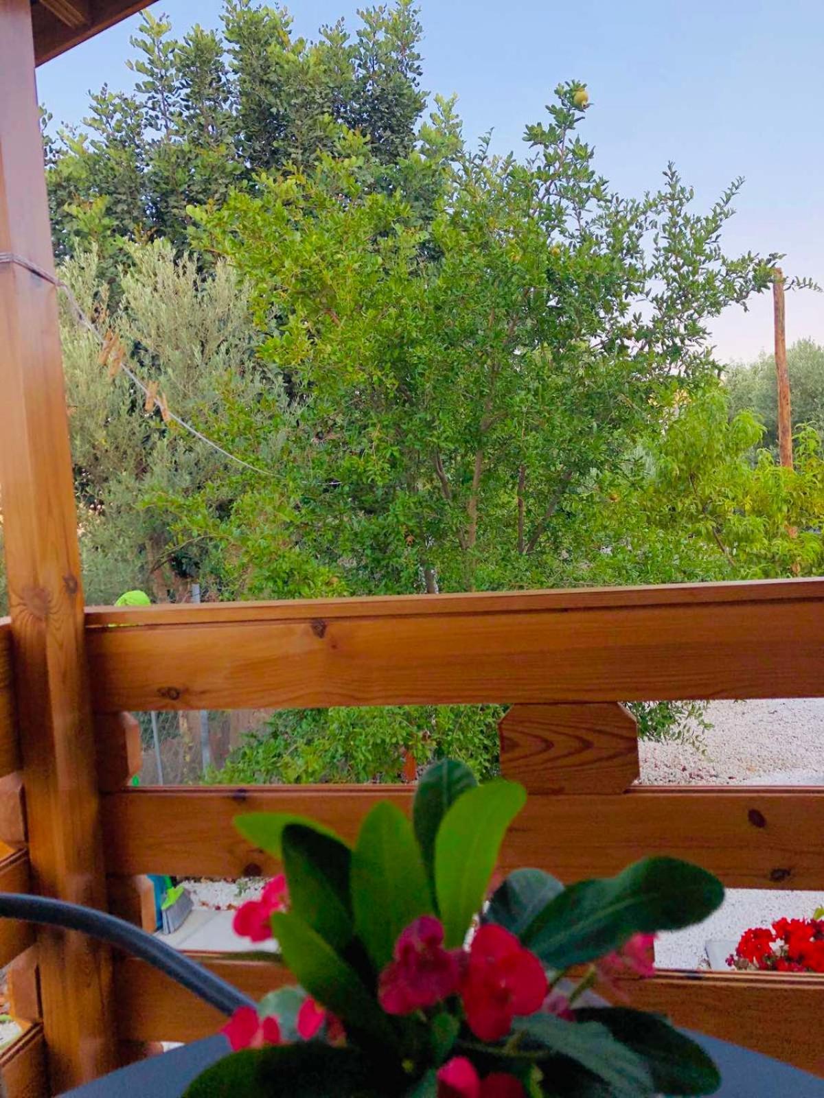 Happy Glamping Cy Villa Agios Theodoros Bilik gambar