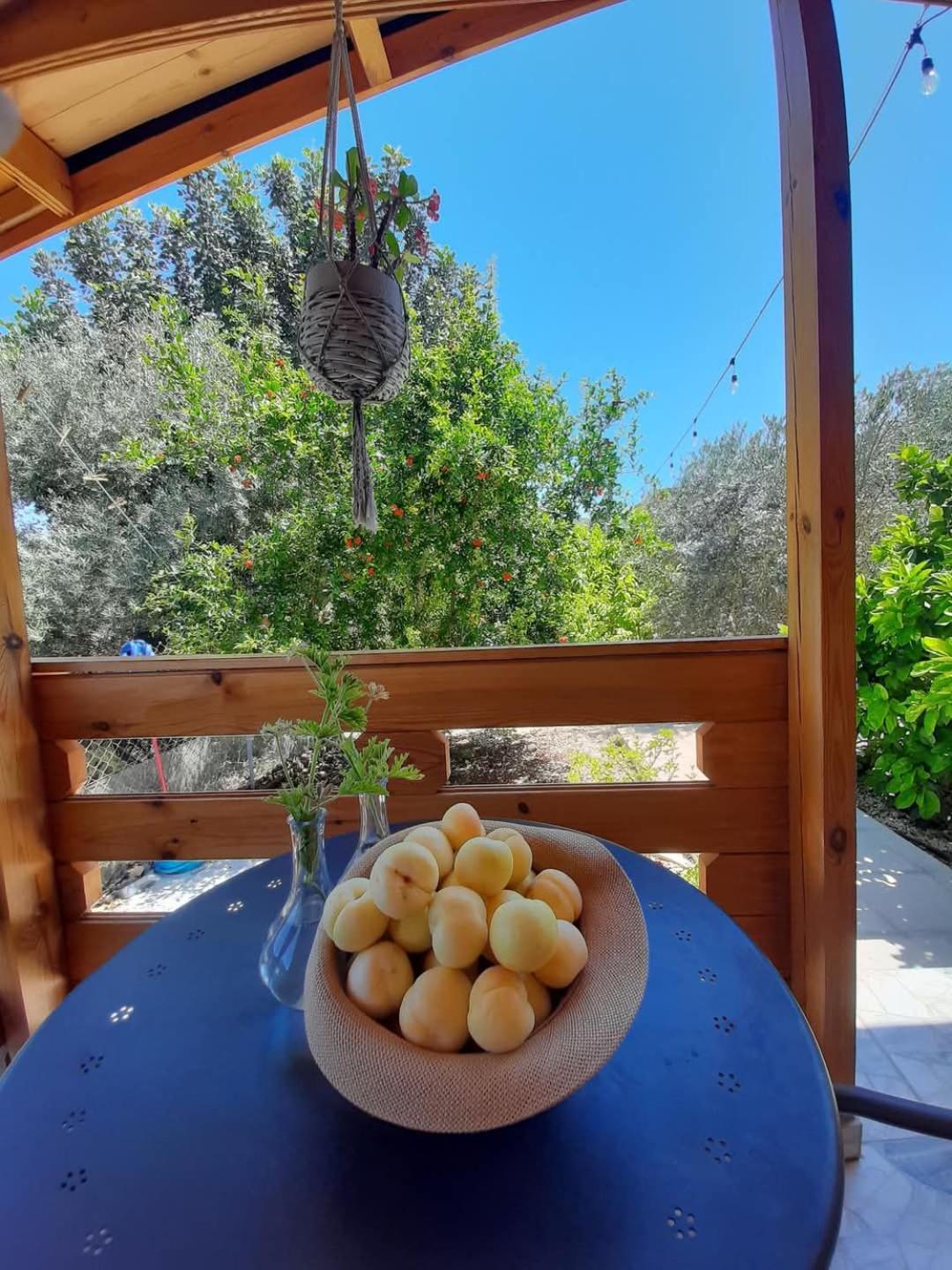 Happy Glamping Cy Villa Agios Theodoros Luaran gambar